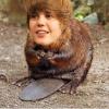 Bengijol